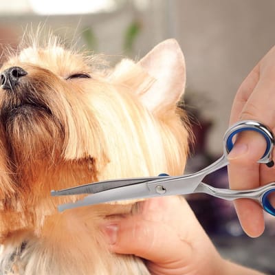 Hondenschaar, gebogen schaar, bontschaar voor hond en kat, veiligheid, ronde punt, grooming schaar, roestvrijstalen vachtschaar voor honden en katten