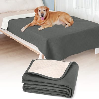 Waterdichte Hondendeken - 152 x 178 cm - Antislip & Wasbaar - Krasbestendige Meubelbeschermer - Voor Honden, Katten, Bank & Bed