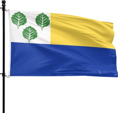 VlagDirect - Oldebroek vlag - Gemeente Oldebroek vlag - 90 x 150 cm.
