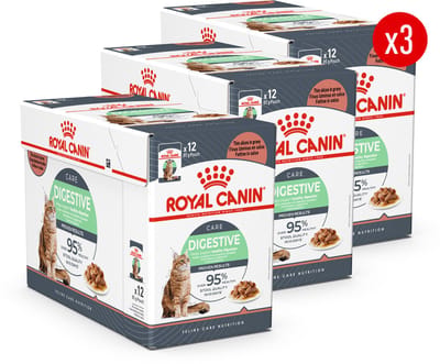 Royal Canin Digestive Care in Gravy - 36 x 85 g - Katten Natvoer - Voordeelverpakking
