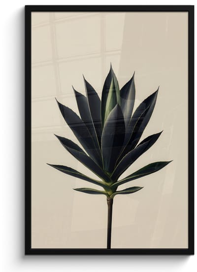 Poster in lijst - Fotolijst 60x90 cm - Posters - Agaveplant - Symmetrisch - Groen - Posterlijst zwart - Decoratie - Wanddecoratie woonkamer - Muurdecoratie slaapkamer