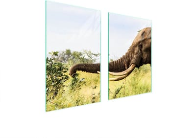 TMK ArtDeko - Serie Bescherming - Glazen Beschermplaat - 65x52 cm - Olifant Design