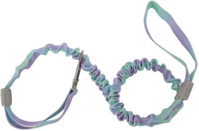 Allecto - Hondenriem - Dubbele handgreep - Veiligheid voor jou en je hond - Groen en paars - Elastisch nylon - Geschikt voor honden - Lengte 110-16...