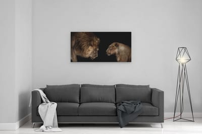 Artaza Canvas Schilderij Leeuw - 100x50 cm - Wanddecoratie Leeuw En Leeuwin - Muurdecoratie Dieren - Schilderijen Op Canvas