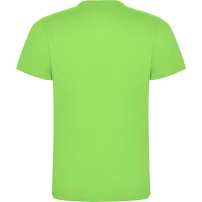 Roly Heren Dogo Premium T-Shirt (Oase Groen)