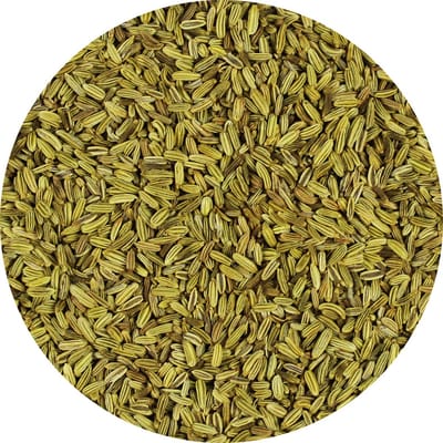 Van Beekum Specerijen - Venkelzaad Heel - 15 KG - Zak (bulk verpakking)