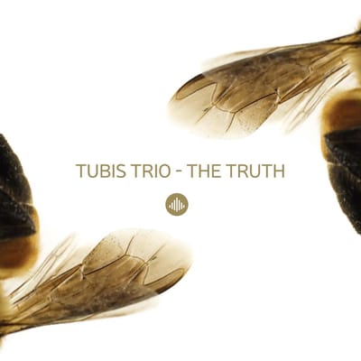 Truth - Tubis Trio