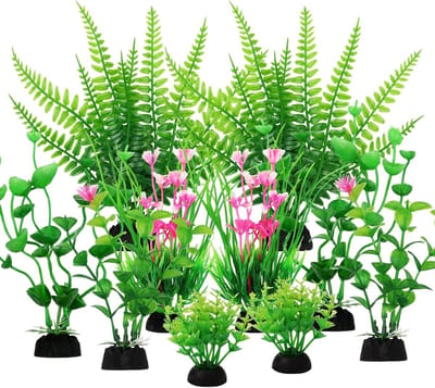 Natuurlijke aquariumplanten voor een gezond vismilieu - Decoratieve waterplanten voor aquaria