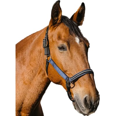 Nylon paardenhalster Equithème Domino