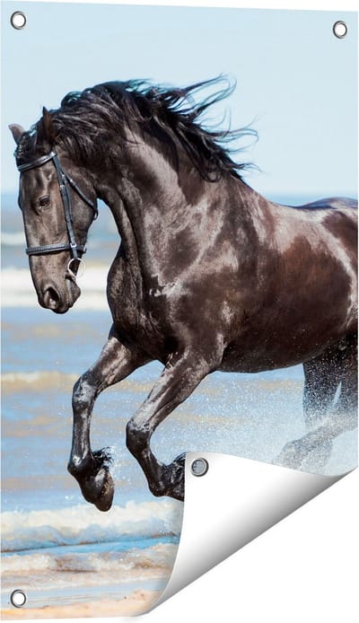 Gards Tuinposter Zwart Paard in het Water - 40x60 cm - Tuindoek - Tuindecoratie - Wanddecoratie buiten - Tuinschilderij