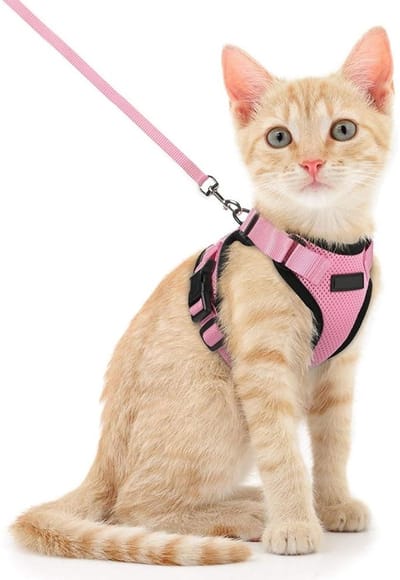 Dailygoods- Kattentuig Verstelbaar - Kattentuig met Looplijn 150 cm