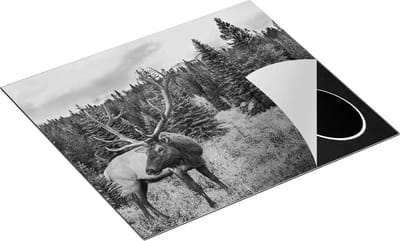 Chefcare Inductie Beschermer Hert in de Herfst Bos - Zwart Wit - 60x50 cm - Afdekplaat Inductie - Kookplaat Beschermer - Inductie Mat
