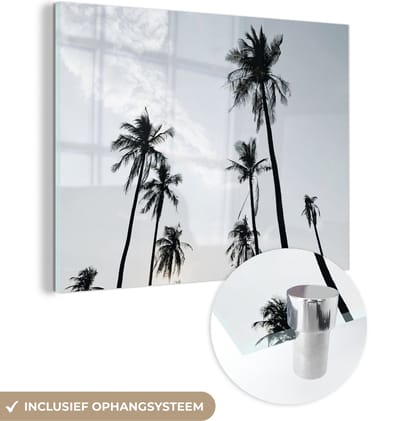 MuchoWow® Glasschilderij 40x30 cm - Schilderij acrylglas - Palmbomen - Zomer - Tropisch - Foto op glas - Schilderijen