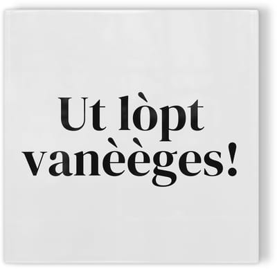 Tegeltje Tilburg Ut lòpt vanèèges! - wit zwart - tegeltje stad - tegeltje met tekst