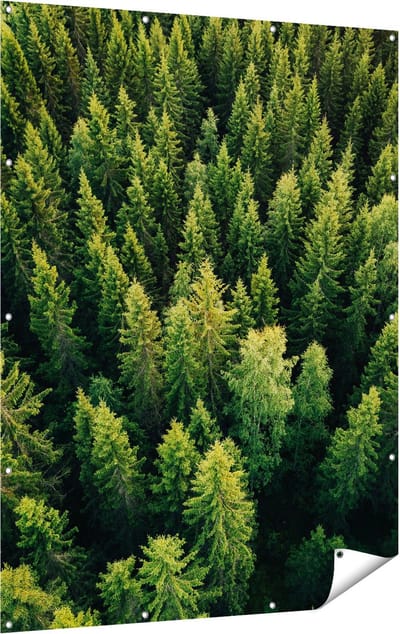 Gards Tuinposter Bos met Bomen vanaf Boven - 120x160 cm - Tuindoek - Tuindecoratie - Wanddecoratie buiten - Tuinschilderij