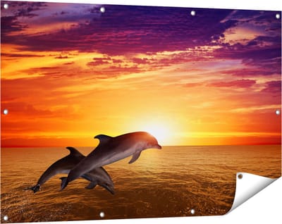 Gards Tuinposter Twee Dolfijnen bij de Zonsondergang - 120x80 cm - Tuindoek - Tuindecoratie - Wanddecoratie buiten - Tuinschilderij
