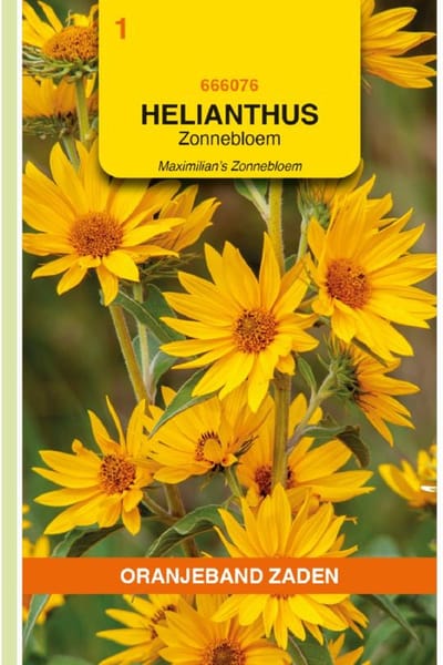 Oranjeband Zaden - Zonnebloem Maximilian (Helianthus maximiliani)