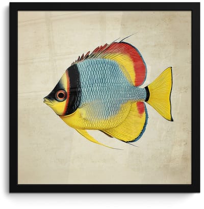 Poster in lijst - Fotolijst 40x40 cm - Posters - Kleurrijk - Vis - Schubben - Illustratie - Posterlijst zwart - Decoratie - Wanddecoratie woonkamer - Muurdecoratie slaapkamer