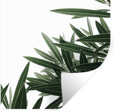 Muurstickers - Sticker Folie - Natuur - Planten - Bladeren - 100x100 cm - Plakfolie - Muurstickers Kinderkamer - Zelfklevend Behang XXL - Zelfklevend behangpapier - Stickerfolie