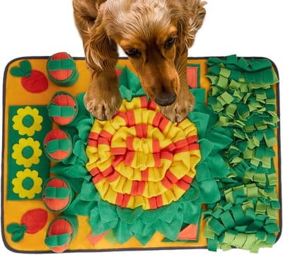 Honden Snuffelmat - Interactief Speelgoed - Mentale Stimulatie - Opvouwbaar Ontwerp - Compact Formaat - Oranje Groen