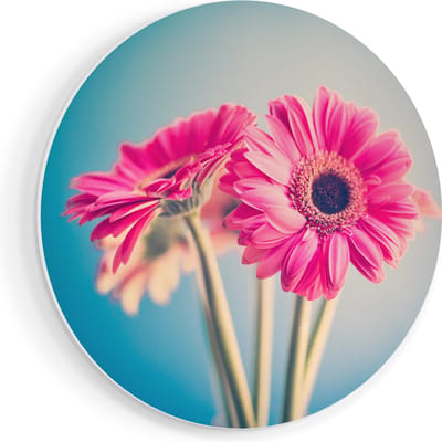 Artaza Forex Muurcirkel Twee Roze Anjers - Bloemen - 40x40 cm - Klein - Wandcirkel - Rond Schilderij - Wanddecoratie Cirkel