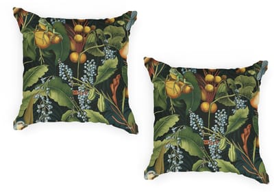 Ulticool - Buitenkussen Hoes Groen - Blauwe Druif Vogel Kikker - Sierkussens Buiten Waterbestendig - Set van 2 Kussens 45 x 45 cm Vierkant
