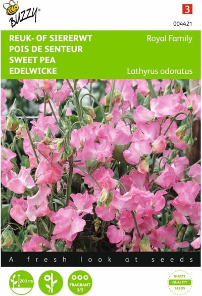 2 stuks Lathyrus, Reuk- of siererwt Royal Family roze