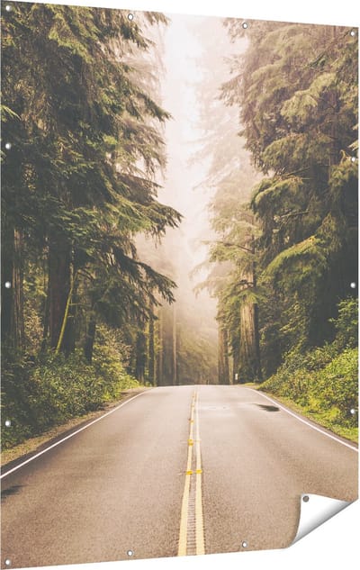Gards Tuinposter Highway in Californië Omring met Bos - 120x160 cm - Tuindoek - Tuindecoratie - Wanddecoratie buiten - Tuinschilderij