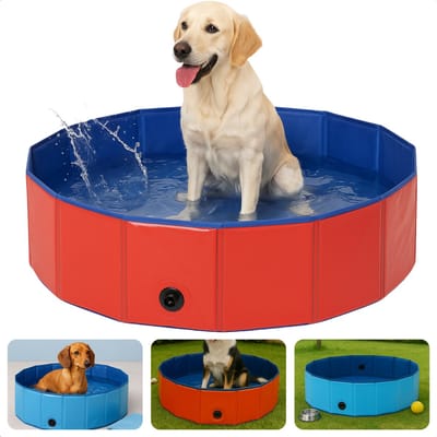 Cheqo® Honden Zwembad - Hondenzwembad Opvouwbaar - Opzetzwembad Huisdier - Hondenbad - Dierenbad - Bad Voor Kleine en Middelgrote Honden