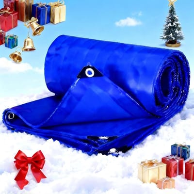 Waterdicht Vrachtwagenzeil - Afdekzeil met Ogen - Bescherming Buiten - Versterkte Rubberen Randen - 340x400 cm - Blauw
