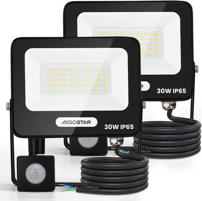 LED Buitenlamp met Bewegingsmelder 30W Zeer Helder 4000K IP65 Dimbaar