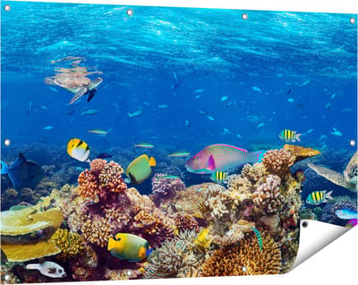 Gards Tuinposter Vissen met Koraalrif in de Oceaan - 120x80 cm - Tuindoek - Tuindecoratie - Wanddecoratie buiten - Tuinschilderij