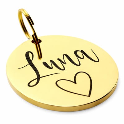 Dierenpenning rond | Goud | Roestvrij staal RVS | Diameter 3 cm | Inclusief naam en telefoonnummer graveren | Gegraveerde penning hond kat | Hondenpenning