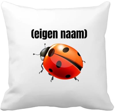 Akyol - lieveheersbeestje met eigen naam Kussen hoes - Lieveheersbeestje - lieveheersbeestje liefhebbers - iemand die houdt van lieveheersbeestjes - verjaardag - cadeau - kado - 40 bij 40 cm