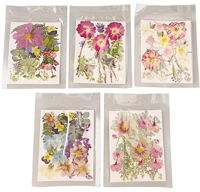 Dailygoods- Gedroogde Bloemen 100 Stuks - Geperste Bloemen - Droogbloemenset - Knutselen - Harsdecoraties - Levendige Kleuren - Droogbloemen