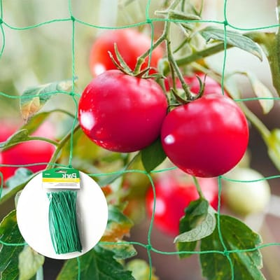 Beschermnet voor Groenten 2x3m - Klimnet voor Komkommers en Klimplanten met Plantbanden, Ideaal voor Tuin en Dierbescherming