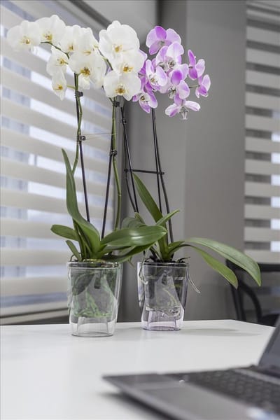 3st Transparante bloempotten - voor orchideeën planten en bloemen - 3L met wateropvang - Duurzaam Design – 70% Gerecycled