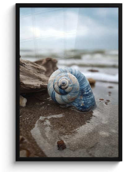 Poster in lijst - Fotolijst 60x90 cm - Posters - Schelp - Strand - Blauw - Zee - Posterlijst zwart - Decoratie - Wanddecoratie woonkamer - Muurdecoratie slaapkamer