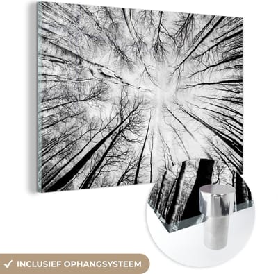 MuchoWow® Glasschilderij 60x40 cm - Schilderij acrylglas - Beukenfoto vanaf de grond gemaakt - Foto op glas - Schilderijen