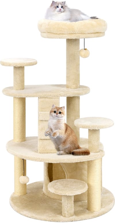 COSTWAY krabpaal klein, houten krabpaal voor katten, krabpaal met kattenhol, bal, ladder, platformen & krabpalen, activiteitenboom kattenmeubel klimplant, kattentoren katten (Lichtbeige)