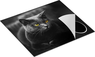 Chefcare Inductie Beschermer Zwarte Kat met Gele Ogen - 60x50 cm - Afdekplaat Inductie - Kookplaat Beschermer - Inductie Mat