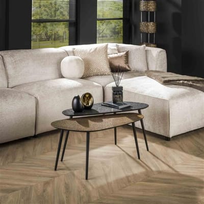 Hoyz - Salontafel Metallic Niervormig - Grijs - Set van 2