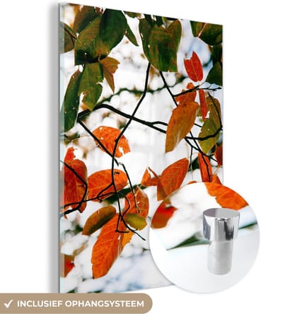 MuchoWow® Glasschilderij 30x40 cm - Schilderij acrylglas - Herfst - Bladeren - Landelijk - Seizoenen - Foto op glas - Schilderijen