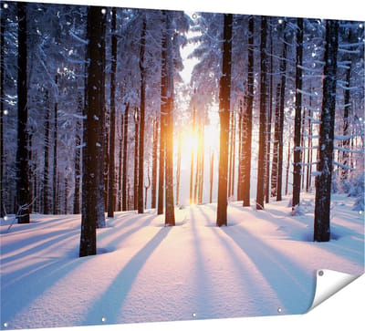 Gards Tuinposter Bos met Sneeuw tijdens de Zonsondergang - 160x120 cm - Tuindoek - Tuindecoratie - Wanddecoratie buiten - Tuinschilderij