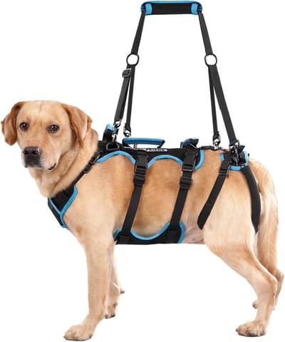Hondentillift Harnas voor Middelgrote Reuen, 2-in-1 Afneembaar Help Em Up Harnas voor Honden, Volledig Lichaam Draagharnas met 4 Handvatten(Zwart, Groot)
