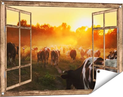 Gards Tuinposter Doorkijk Kudde Koeien in Weiland bij Zonsondergang - 90x60 cm - Tuindoek - Tuindecoratie - Wanddecoratie buiten - Tuinschilderij