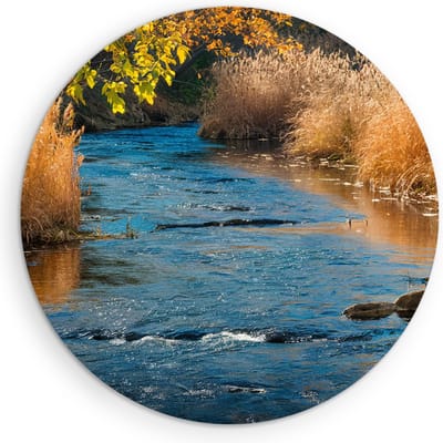 Saammp Muurcirkel Hout - Beek - Landschap - Natuur - Ø 90 - Wandcirkel - Wanddecoratie Cirkel - Muurdecoratie Woonkamer - Slaapkamer decoratie - Rond Schilderij