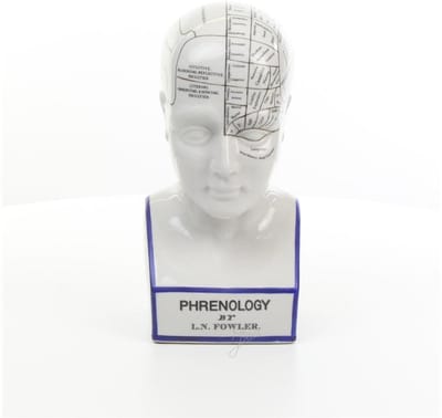 Porseleinen Phrenology Hoofd in blauwe kleuring