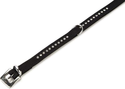 Beeztees Buffalo - Halsband Hond - Leer - Zwart - 34-40 cm