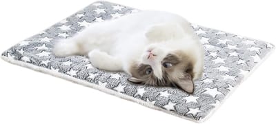 Warm Huisdierbed - Zelfverwarmende Mat - Comfortabel Slapen - Geen Elektriciteit Nodig - 35 x 20 cm - Blauw en Wit